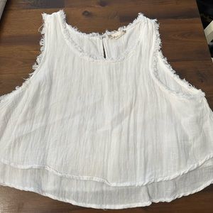 Altard state crop top
